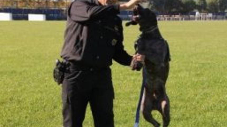 Bu K&ouml;peklerin G&ouml;revi Hayat Kurtarmak