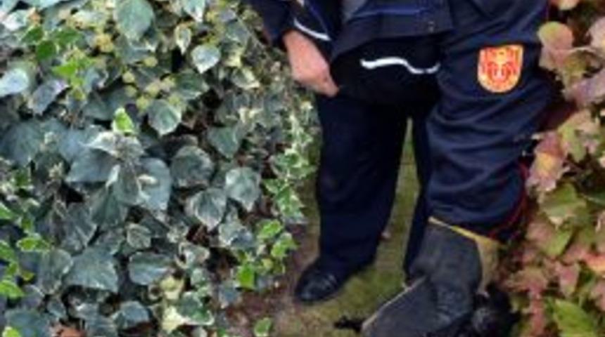 İnat&ccedil;ı Kedi Yavrusu, Polis Ve Itfaiye Ekiplerine Zor Anlar Yaşattı