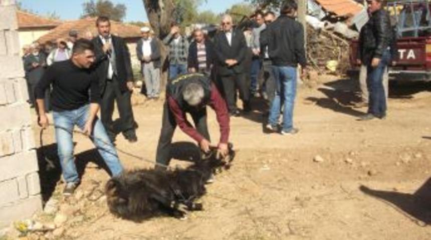 Kendi Imkanlarıyla Su Bulan Köylüler Halka Yemek Dağıttı