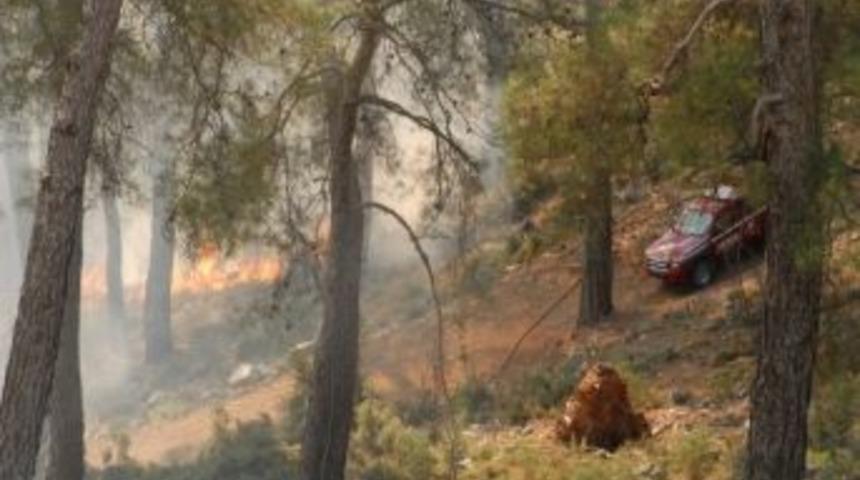 Fethiye'de Orman Yangını