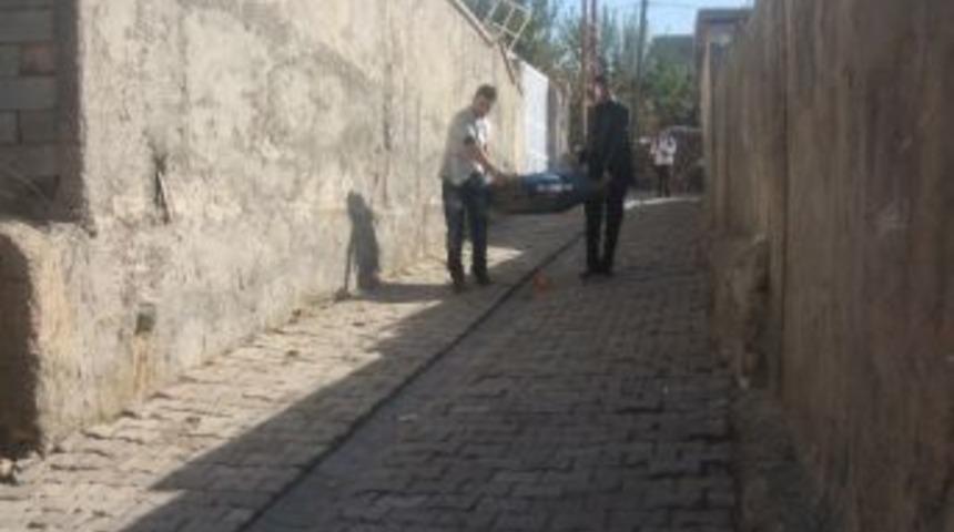 Almanya'dan Silopi'ye Tekerlekli Sandalye Yardımı