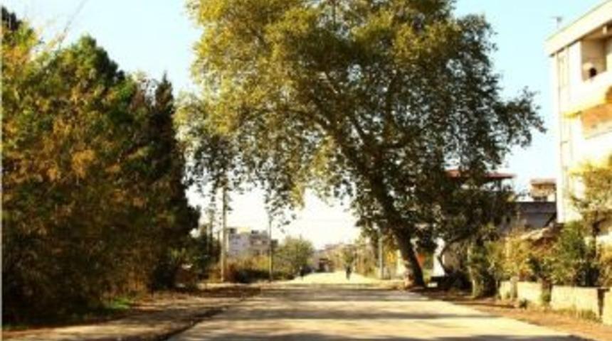 &Ccedil;arşamba Yeni Yollarla Gelişiyor