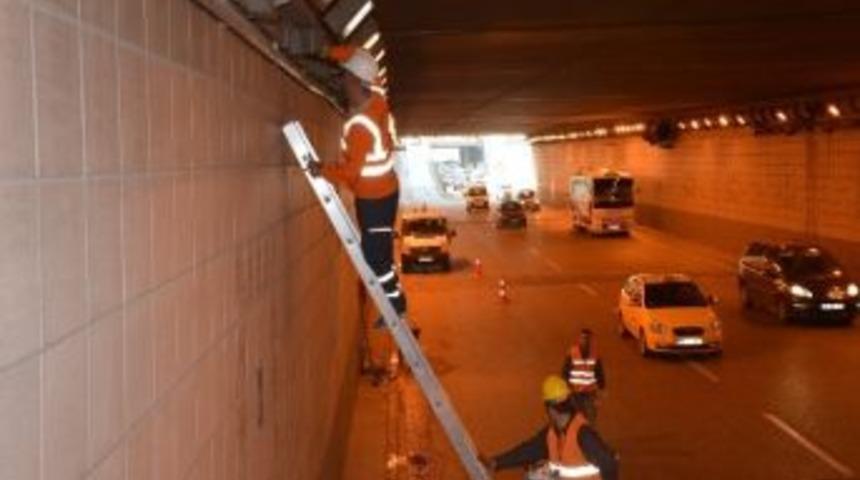 Altge&ccedil;itlere &Ouml;zel Bakım Ve Temizlik