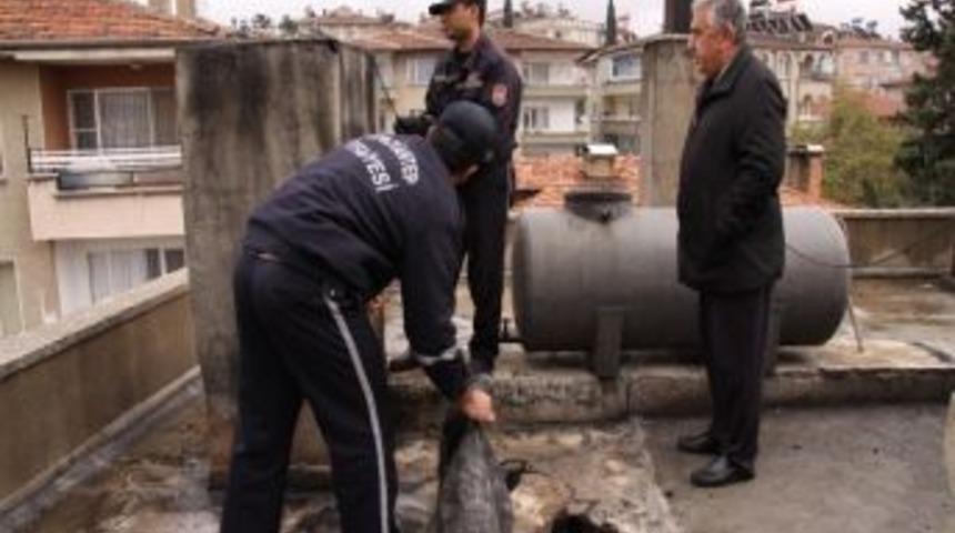 İtfaiye Sessiz Katile Karşı Uyardı