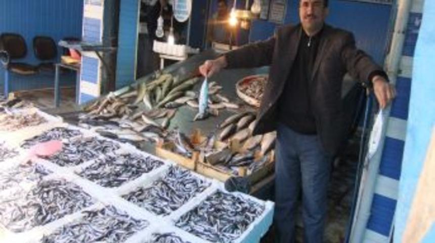 Bafra'da Hamsi Fiyatı D&uuml;şmeye Devam Ediyor