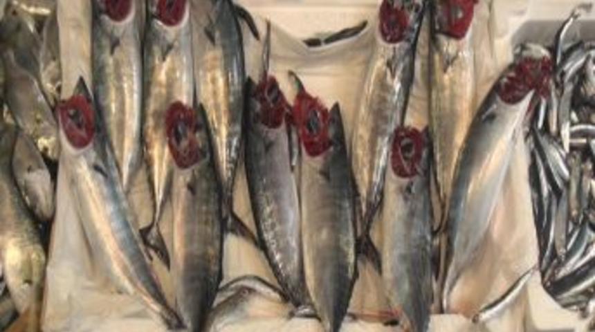 Ereğli Hamsisi Kilosu 2.5 Ila 5 Liradan Satılıyor