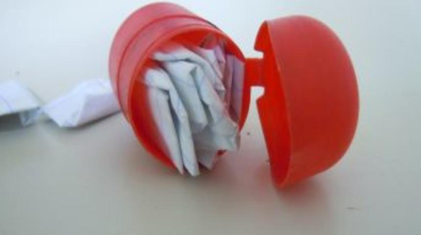 48 Adet Bonzai Maddesi Ele Ge&ccedil;irildi