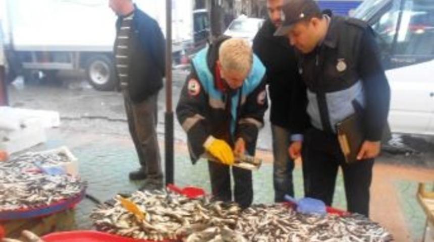 Halkevi Balık&ccedil;ıları Denetlendi