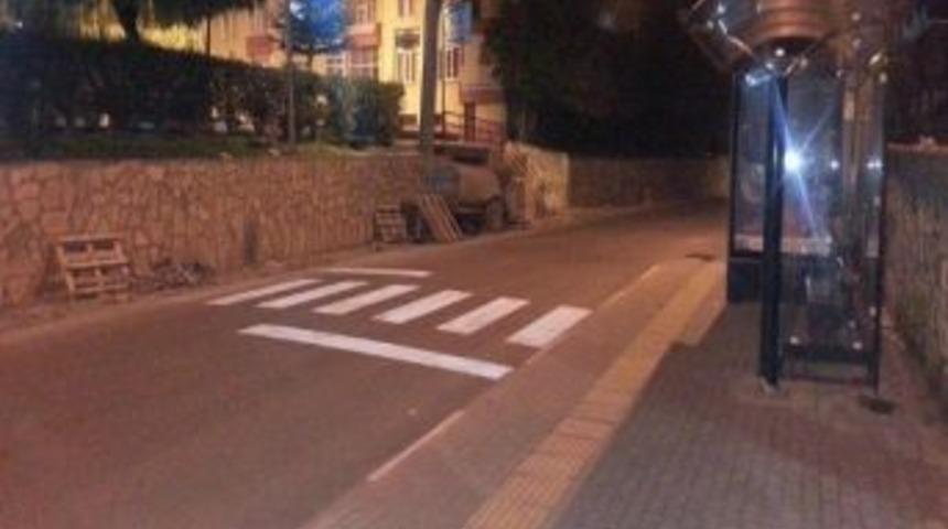 Şaka Gibi Yaya Ge&ccedil;idi