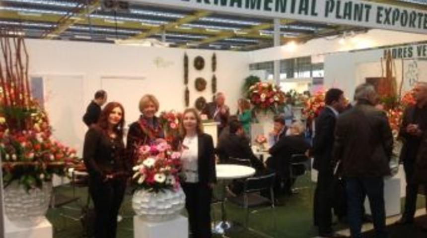 Hollanda&rsquo;da T&uuml;rkiye R&uuml;zgarı Esti