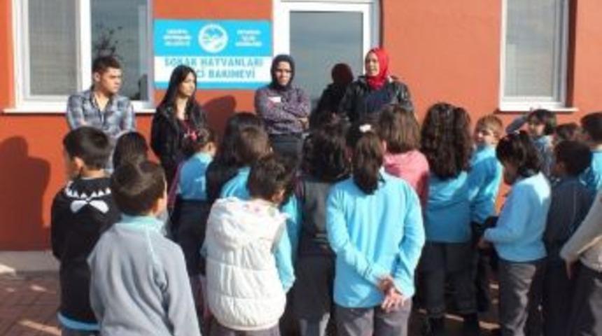 Minikler G&ouml;rerek &Ouml;ğreniyor