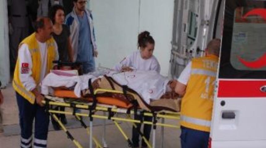 Ko&ccedil;, Yem Veren Sahibini Hastanelik Etti