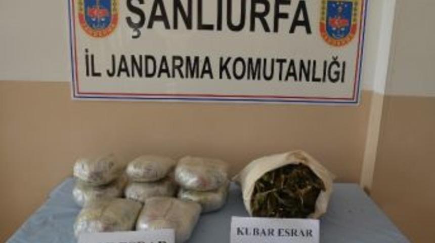 Jandarmadan Uyuşturucu Operasyonu