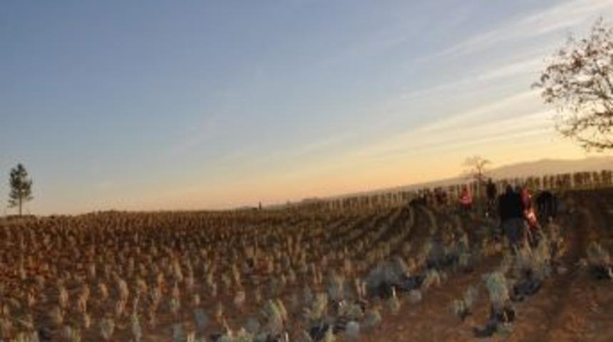 Ege&rsquo;nin En İddialı Piknik Mesire Alanı Uşak&rsquo;ta Yapılıyor