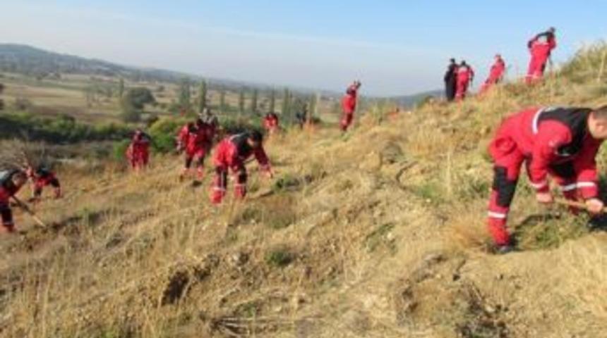 Sivil Savunmacılar Fidan Dikti