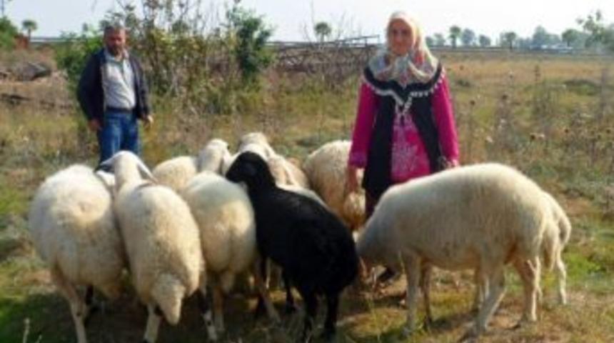 D&uuml;nyanın En Mutlu Kadını