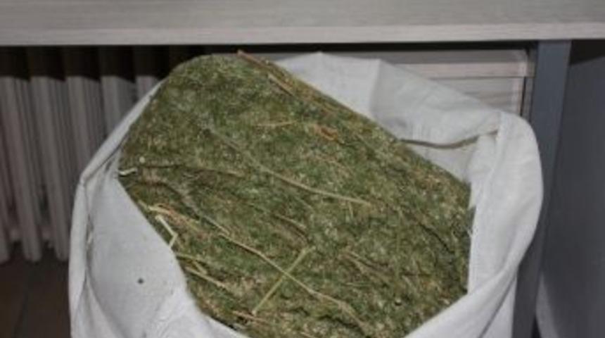 Elazığ&rsquo;da 46 Kilogram Esrar Ele Ge&ccedil;irildi