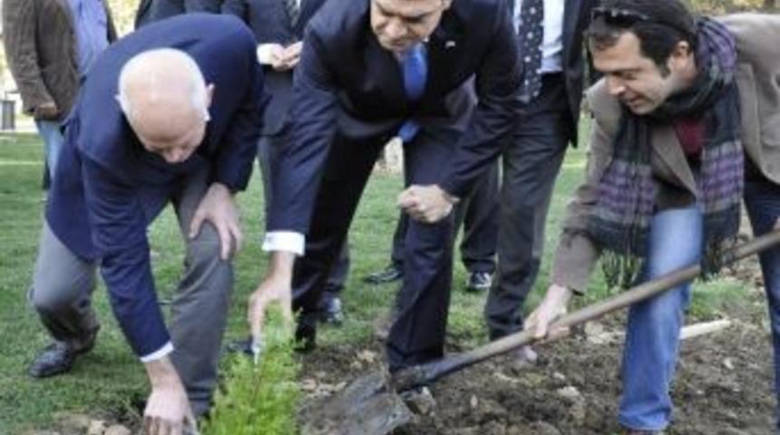 Papandreu, Gezi Parkı&rsquo;na Fidan Dikti