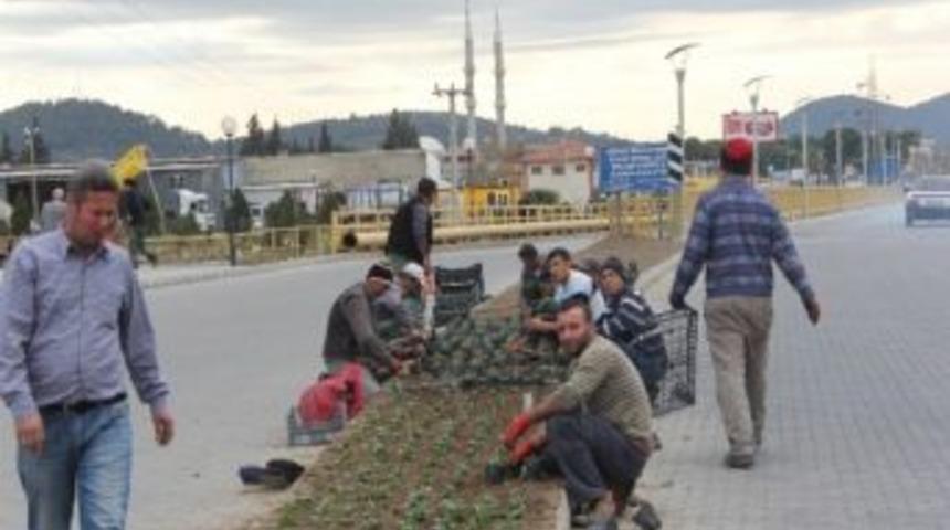 Burhaniye Kışa Hazırlanıyor
