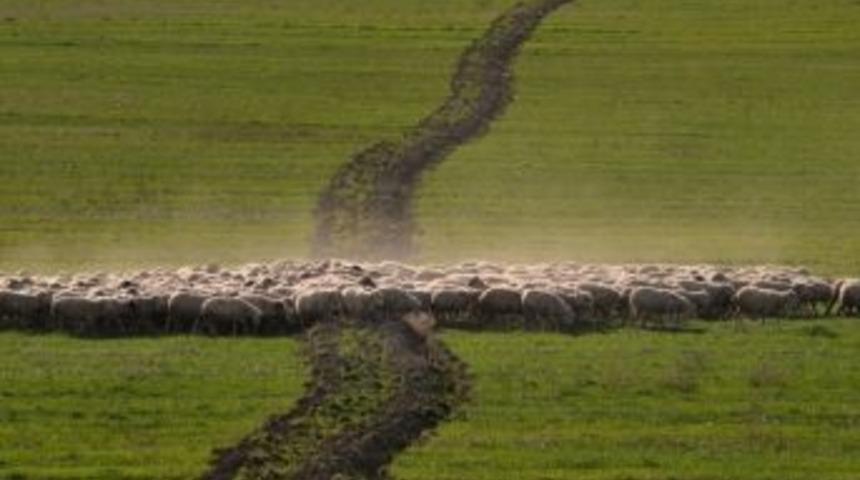 Nevşehir Belediyesi 4. Uluslararası Fotoğraf Yarışması Sonu&ccedil;landı