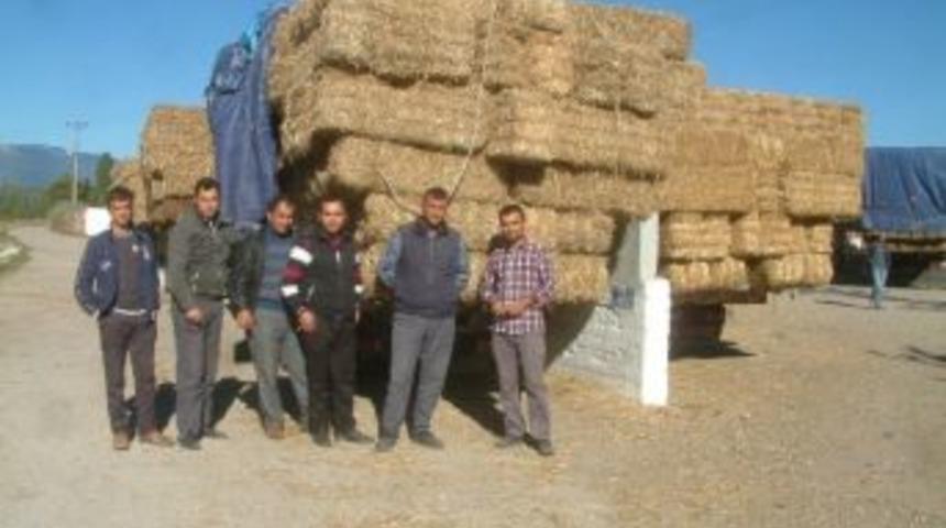Havran&rsquo;da Saman Pazarı Kuruldu