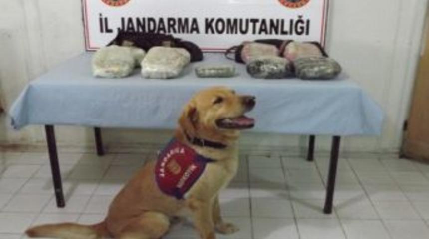 Jandarmadan Ka&ccedil;ak&ccedil;ılık Operasyonu