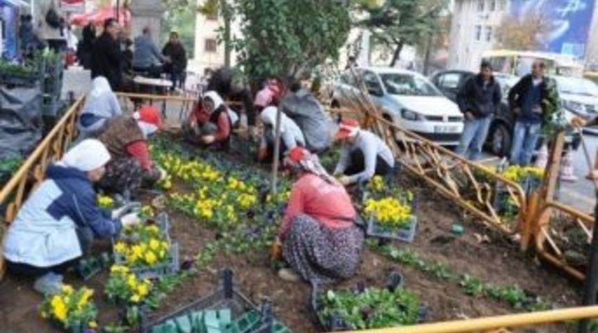 Tekirdağ &Ccedil;i&ccedil;eklerle G&uuml;zelleşiyor