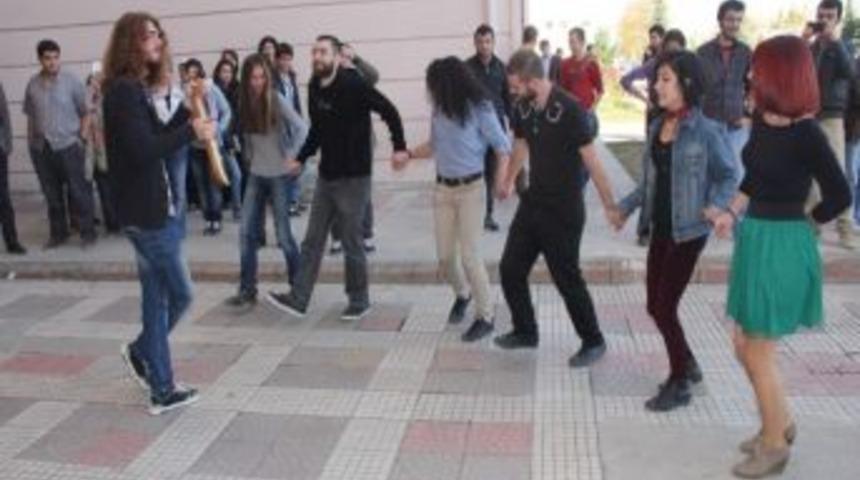 "kızlı-erkekli Horon Oynuyoruz" Eylemi