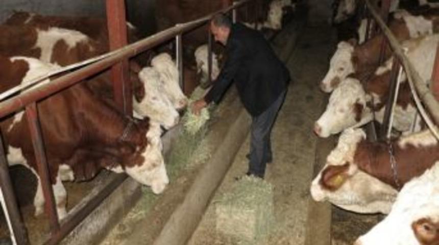 Daka&rsquo;da Başarı &Ouml;yk&uuml;leri