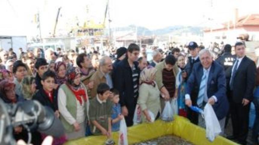 Kdz. Ereğli&rsquo;de 24 Kasım&rsquo;da Hamsi Festivali D&uuml;zenlenecek