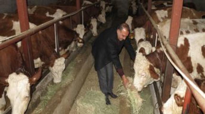 Girişimciler, Aldıkları Desteklerle Hayallerini Kurduğu Işleri Yapıyor