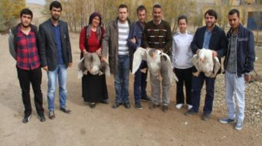 Yozgat&rsquo;ta Kaz Yetiştiriciliği Konusunda Bilimsel &Ccedil;alışma Başlatıldı