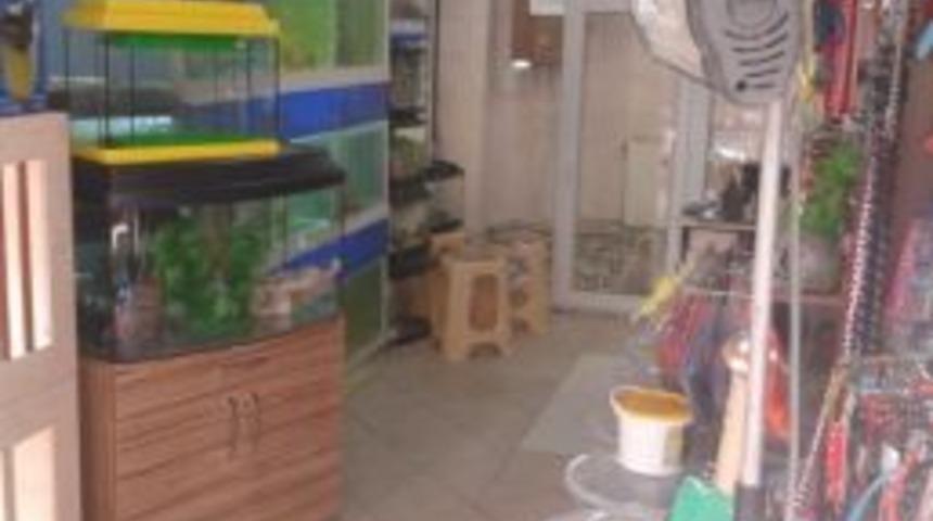 Ev Ve S&uuml;s Hayvanları Satış Yerlerine Yeni İzinler