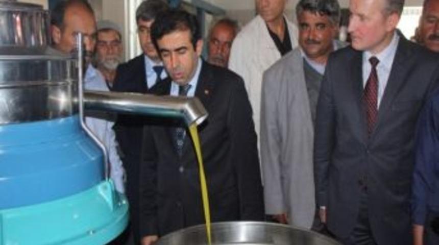 Vali G&uuml;zeloğlu Zeytin &Uuml;reticileriyle Bir Araya Geldi