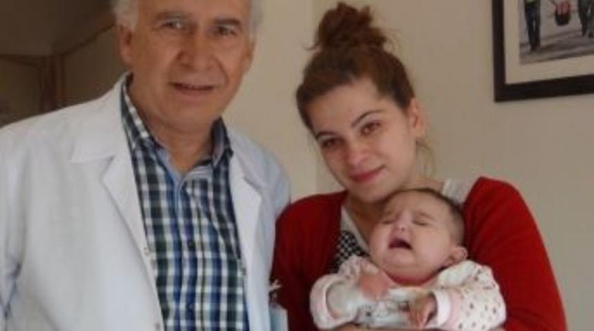 Kars&rsquo;ta Kalbi Duran Bebek, Fatsa&rsquo;da Hayat Buldu