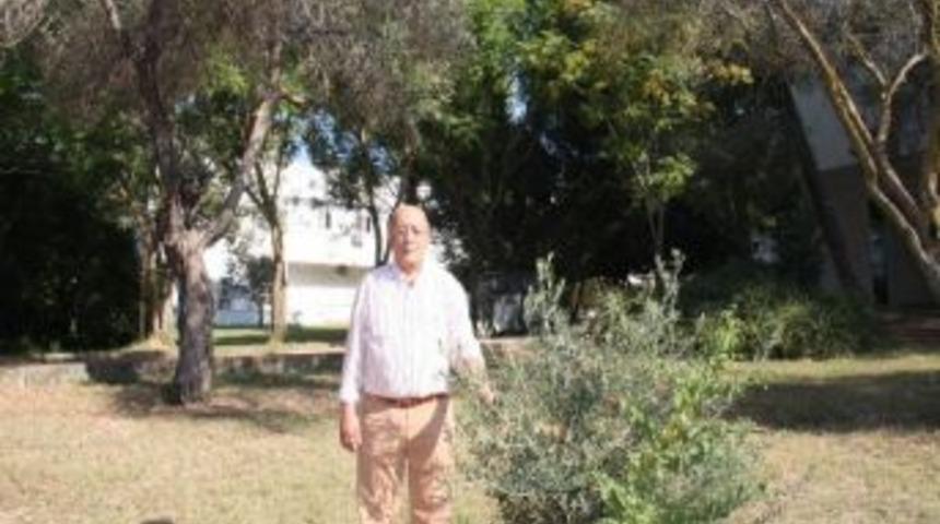 Ka&ccedil;ak Zeytinyağında Kimyasal Uyarısı