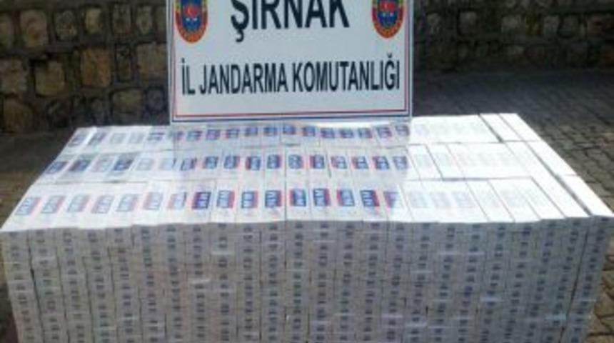 Şırnak&rsquo;ta 58 Bin Paket Ka&ccedil;ak Sigara Ele Ge&ccedil;irildi