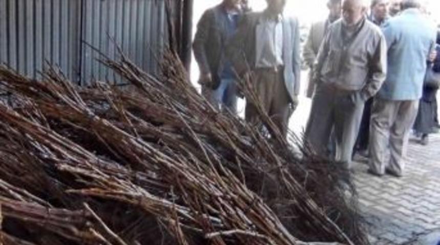 Simav Meyveciliğin Merkezi Olacak