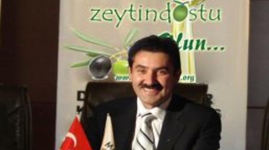 Zeytin Fidanı Dikimine Yasak Yok