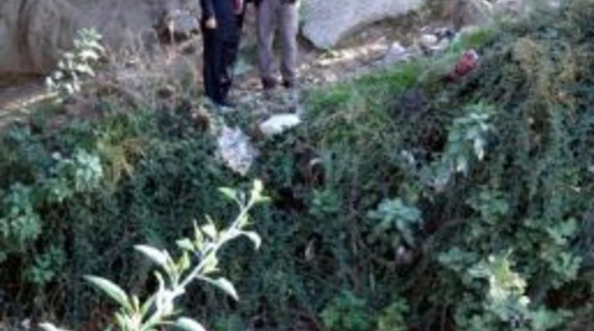 Edremit &Ccedil;ayı&rsquo;ndaki &Ouml;l&uuml; Balıklar İ&ccedil;in İnceleme Başlatıldı