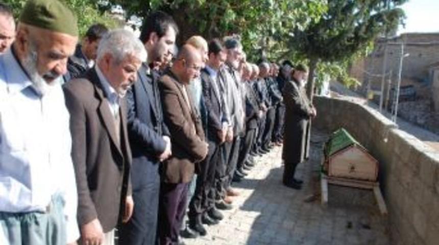 Anadolu Ajansı Muhabirinin Acı G&uuml;n&uuml;