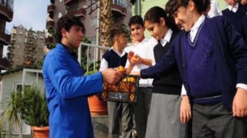 Narenciye Festivali'ne Doğru