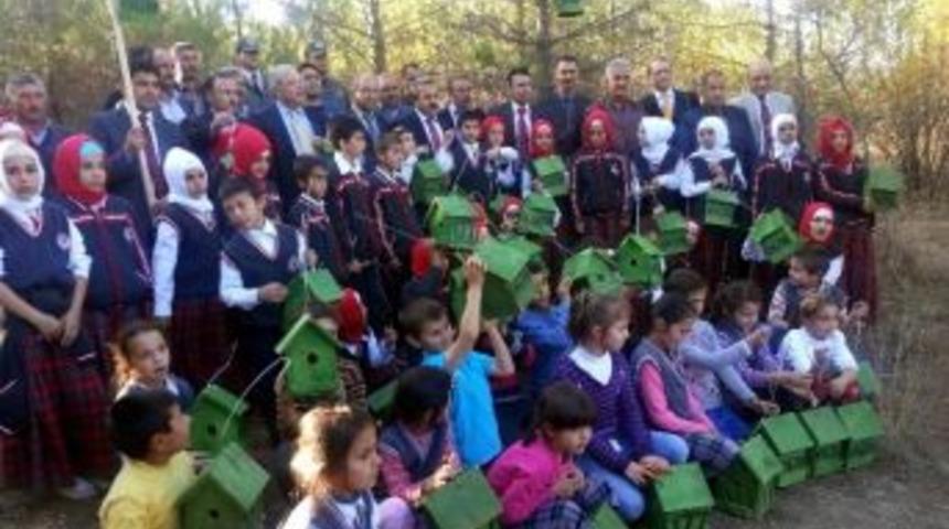 Aladağ&rsquo;da Artık Kuşlar &Uuml;ş&uuml;meyecek