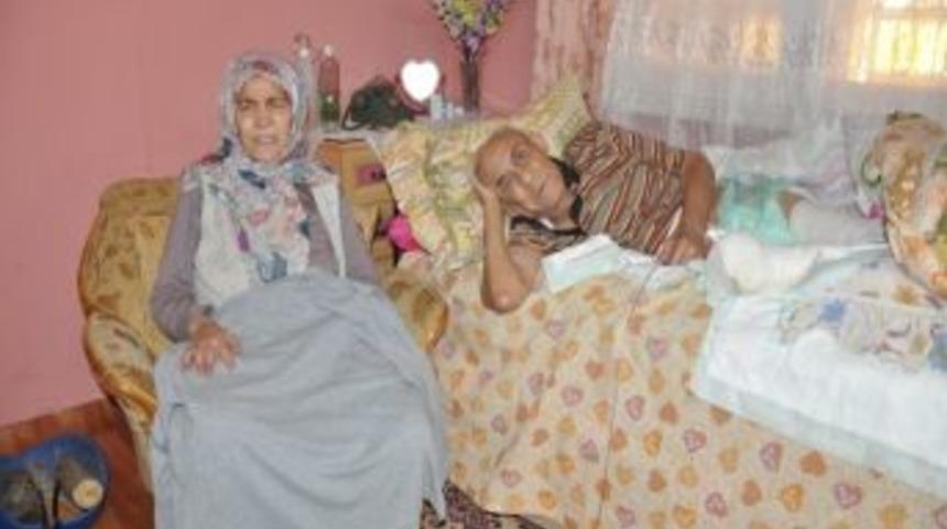 Yarım asırdır yatalak olan gazinin dramı