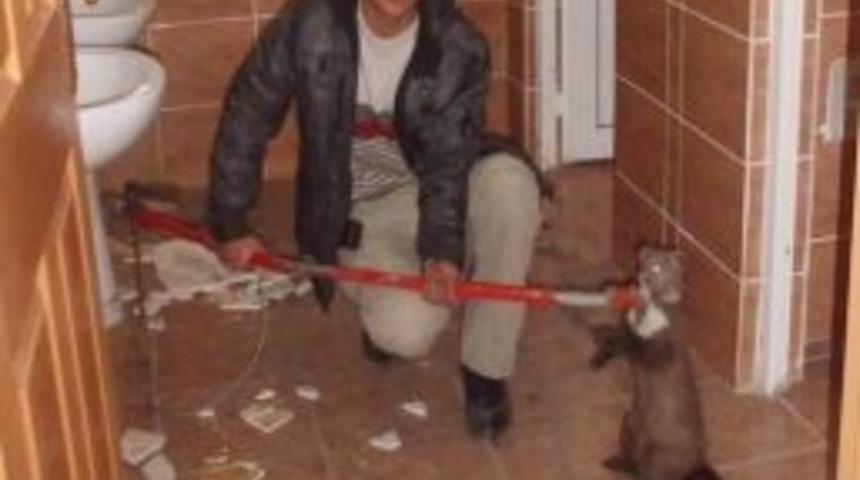 Şaşkın Sansar Sağlık&ccedil;ıları Korkuttu