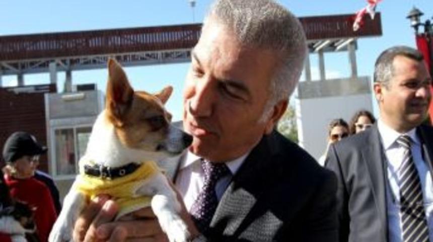 T&uuml;rkiye&rsquo;nin İkinci Hayvan Mezarlığı Karşıyaka&rsquo;ya Yapılıyor