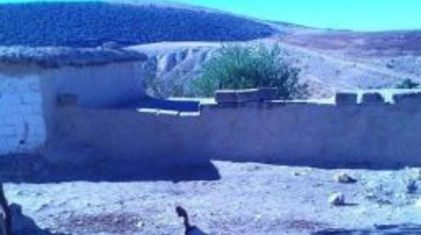 Belirsiz Cisim Objektiflere Takıldı