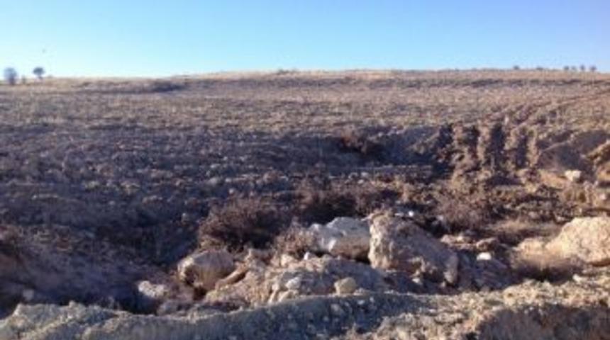 Mak&uuml;&rsquo;ye 18 Bin &Ouml;ğrenci İ&ccedil;in 103 Bin Fidan Dikilecek