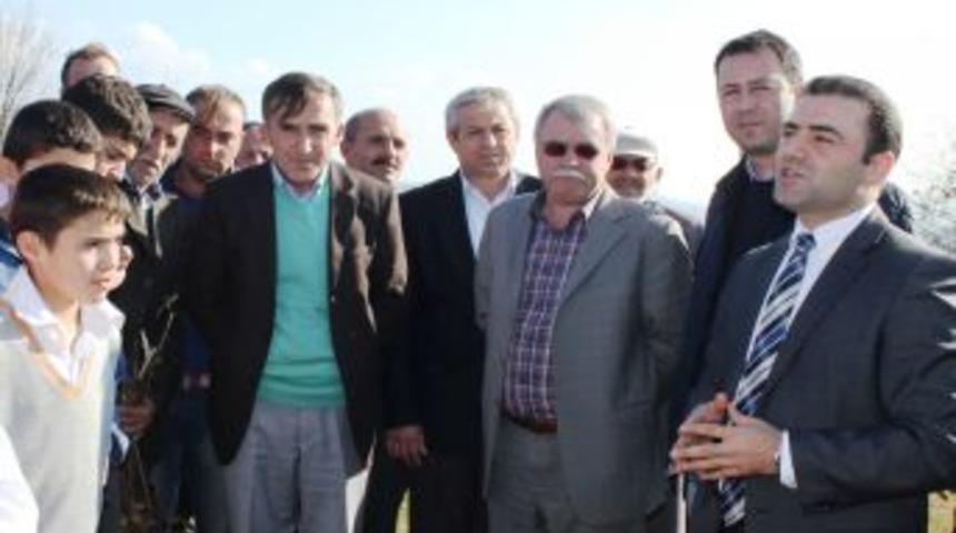 T&uuml;rkiye'nin En B&uuml;y&uuml;k Ceviz Ormanlarından Birisi Ordu'ya Kuruluyor