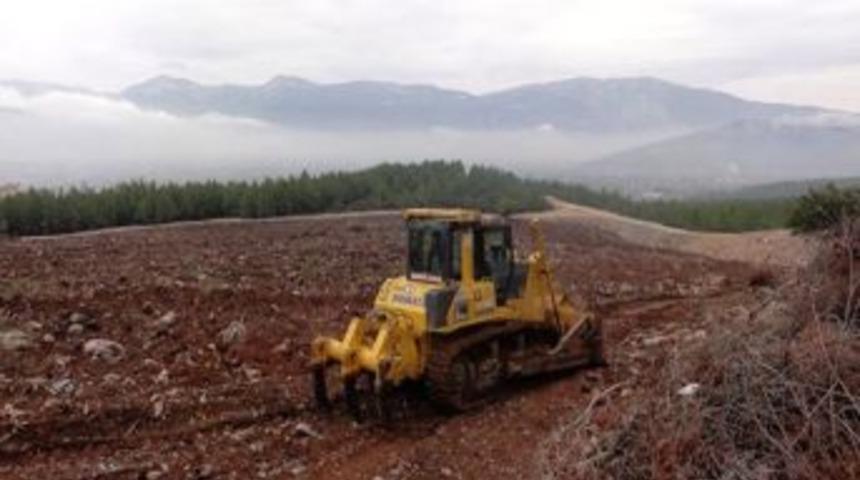 Muğla'da Yapay Tr&uuml;f Mantarı Ormanı Oluşturulacak